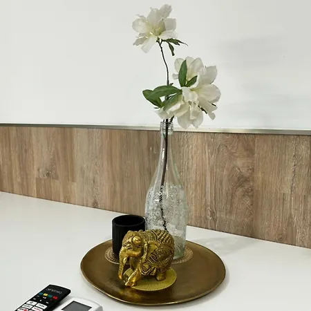 Moderno Apartamento Del Arquitecto *